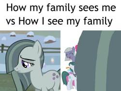 Size: 800x600 | Tagged: safe, edit, edited screencap, imported from derpibooru, screencap, cloudy quartz, limestone pie, marble pie, pinkie pie, earth pony, pony, hearthbreakers, description is relevant, female, filly, filly limestone pie, filly pinkie pie, hair over one eye, mare, meme, offscreen character, parody, pie family, ponified meme, pov, sad, younger