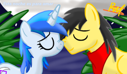 Size: 1024x596 | Tagged: safe, artist:thunder burst, imported from derpibooru, oc, oc:thunder burst, oc:white flower, pegasus, pony, unicorn, base used, love, night, spanish, stars