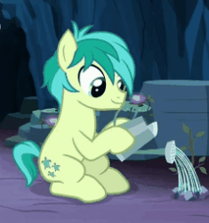 Size: 239x254 | Tagged: safe, imported from derpibooru, screencap, sandbar, earth pony, pony, uprooted, animated, clumsy, cropped, gif, male, sapling, solo, water, watering can