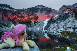 Size: 1920x1280 | Tagged: safe, artist:natureshy, artist:p0w3rporco, imported from derpibooru, fluttershy, bat pony, pony, bat ponified, bedroom eyes, equestria: into the wild, flutterbat, irl, lake, mountain, mountain range, photo, photography, plushie, ponies around the world, race swap, reflection, rock, sunset, washington, water