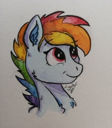 Size: 1918x2192 | Tagged: safe, artist:lightisanasshole, imported from derpibooru, rainbow dash, pegasus, pony, :t, alternate hairstyle, bust, ear fluff, female, fluffy, neck fluff, painting, rainbow, red eyes, smiling, smirk, solo, traditional art, watercolor painting