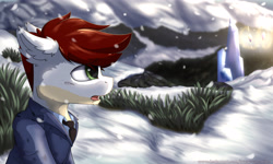 Size: 3541x2127 | Tagged: safe, artist:avery-valentine, imported from derpibooru, oc, oc only, oc:valentinea, pony, snow, snowfall, solo, winter