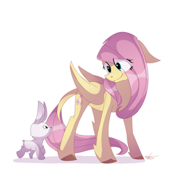 Size: 1500x1500 | Tagged: safe, artist:dddreamdraw, imported from derpibooru, fluttershy, pegasus, pony, rabbit, cloven hooves, colored hooves, cute, eye clipping through hair, female, floppy ears, folded wings, leg fluff, leonine tail, looking at each other, looking down, mare, shyabetes, signature, simple background, smiling, solo, standing, white background, wings