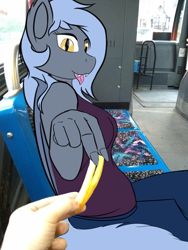 Size: 1530x2040 | Tagged: safe, artist:darnelg, imported from derpibooru, oc, oc:panne, anthro, bat pony, bus, female, food, irl, looking at you, photo, ponies in real life, stock image, tongue out