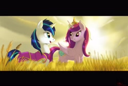 Size: 4665x3157 | Tagged: safe, artist:greenbrothersart, imported from derpibooru, princess cadance, shining armor, pony, absurd resolution, female, field, letterboxing, looking at each other, male, royal guard armor, shiningcadance, shipping, signature, smiling, straight