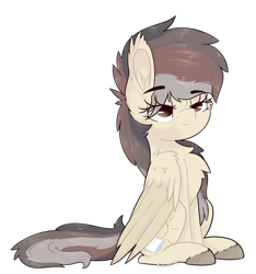 Size: 1024x1095 | Tagged: safe, artist:ezzerie, imported from derpibooru, oc, oc:wakeup call, pegasus, pony, colored, digital, fluffy, full body, fullbody, pegasus oc, shading, simple background, solo, transparent background