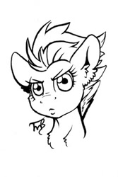 Size: 900x1350 | Tagged: safe, artist:tillie-tmb, imported from derpibooru, spitfire, pony, bust, female, monochrome, portrait, sketch, solo
