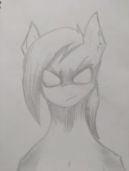 Size: 3456x4608 | Tagged: safe, artist:syntonic, imported from derpibooru, oc, oc only, oc:winter leaves, pony, rage, traditional art