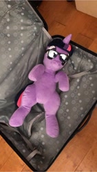 Size: 1152x2048 | Tagged: safe, imported from derpibooru, twilight sparkle, pony, irl, photo, plushie, suitcase, sunglasses