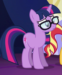 Size: 545x651 | Tagged: safe, imported from derpibooru, screencap, sci-twi, sunset shimmer, twilight sparkle, pony, unicorn, equestria girls, equestria girls series, spring breakdown, spoiler:eqg series (season 2), cropped, equestria girls ponified, glasses, ponified, solo focus, unicorn sci-twi