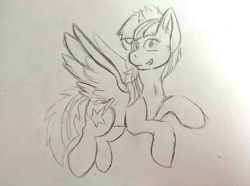 Size: 800x596 | Tagged: safe, anonymous artist, imported from derpibooru, oc, oc only, oc:twinkle starstone, alicorn, pony, alicorn oc, eyelashes, grin, horn, looking at you, smiling, spread wings, traditional art, wings