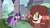 Size: 1920x1080 | Tagged: safe, imported from derpibooru, screencap, spike, twilight sparkle, yona, alicorn, dragon, pony, yak, uprooted, twilight sparkle (alicorn), winged spike, wings