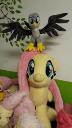 Size: 2322x4128 | Tagged: safe, imported from derpibooru, fluttershy, gabby, female, irl, photo, plushie
