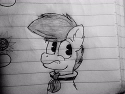 Size: 2560x1920 | Tagged: safe, artist:thebadbadger, imported from derpibooru, oc, oc:phire demon, earth pony, pony, bust, lineart, lined paper, pac-man eyes, pacman eyes, traditional art