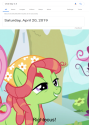 Size: 537x753 | Tagged: safe, edit, edited screencap, editor:countcoltnackh, imported from derpibooru, screencap, fluttershy, tree hugger, earth pony, pegasus, pony, make new friends but keep discord, 420, april 20th, dreadlocks, google, meme, ponyville, righteous, text