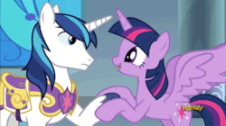 Size: 806x451 | Tagged: safe, imported from derpibooru, screencap, shining armor, twilight sparkle, alicorn, pony, sparkle's seven, animated, cute, faic, gif, shaking hoof, twiabetes, twilight sparkle (alicorn)