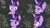 Size: 1832x1012 | Tagged: safe, edit, imported from derpibooru, screencap, twilight sparkle, alicorn, pony, sparkle's seven, chalkboard, discovery family logo, female, mare, math lady meme, solo, thinking, twilight sparkle (alicorn)