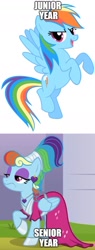 Size: 497x1309 | Tagged: safe, edit, edited screencap, imported from derpibooru, screencap, rainbow dash, pegasus, pony, sparkle's seven, megaradash, rainbow dash always dresses in style, text