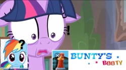Size: 800x449 | Tagged: safe, edit, edited screencap, imported from derpibooru, screencap, rainbow dash, twilight sparkle, alicorn, bird, chicken, pegasus, pony, starlight the hypnotist, spoiler:interseason shorts, aardman animations, bunty the hen, chicken run, dreamworks, floppy ears, hen, question mark, twilight sparkle (alicorn), wat