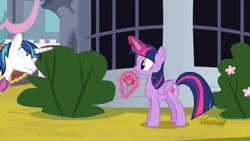Size: 1920x1080 | Tagged: safe, imported from derpibooru, screencap, shining armor, twilight sparkle, alicorn, pony, unicorn, sparkle's seven, flower, magic, magic aura, stare, twilight sparkle (alicorn)