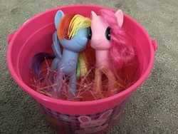 Size: 3264x2448 | Tagged: safe, imported from derpibooru, pinkie pie, rainbow dash, pony, bucket, carpet, female, leaning, lesbian, looking at you, photo, pinkiedash, shipping