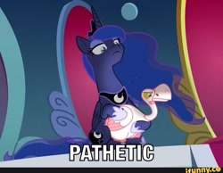 Size: 799x621 | Tagged: safe, edit, edited screencap, imported from derpibooru, screencap, princess luna, alicorn, bird, goose, pony, sparkle's seven, animal, caption, duo, ethereal mane, female, ifunny, image macro, luna petting goose, mare, meme, pathetic, petting, starry mane, text, throne