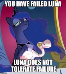 Size: 500x564 | Tagged: safe, edit, edited screencap, imported from derpibooru, screencap, princess luna, alicorn, bird, goose, pony, sparkle's seven, animal, caption, cropped, duo, ethereal mane, female, image macro, impact font, lidded eyes, luna petting goose, mare, meme, needs more jpeg, petting, solo, starry mane, text, throne