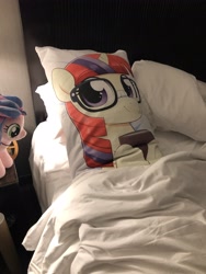 Size: 4032x3024 | Tagged: safe, artist:moozua, imported from derpibooru, moondancer, oc, oc:bonita, pony, babscon, babscon 2019, babscon mascots, bed, body pillow, hotel room, irl, photo, plushie