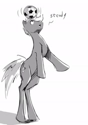 Size: 1438x2048 | Tagged: safe, imported from derpibooru, oc, oc:hoofstorm, pony, football, sports, twitterponies