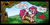 Size: 2000x992 | Tagged: safe, artist:gray--day, edit, imported from derpibooru, pinkie pie, pony, abuse, candy, candy cane, candy gore, cartoon physics, cartoon violence, cropped, female, food, gore, my leg, offscreen character, pinkie being pinkie, pinkie physics, pinkiebuse, pinkñata, piñata, solo, speech bubble, spongebob squarepants