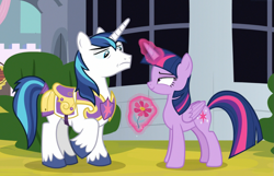 Size: 1333x861 | Tagged: safe, imported from derpibooru, screencap, shining armor, twilight sparkle, alicorn, pony, sparkle's seven, cropped, devious smile, female, flower, glowing horn, levitation, lidded eyes, magic, male, out of context, royal guard armor, smuglight sparkle, suspicious, telekinesis, twilight sparkle (alicorn)