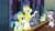 Size: 1920x1080 | Tagged: safe, imported from derpibooru, screencap, guardian angel (character), shining armor, silver sable, pegasus, pony, unicorn, sparkle's seven, armor, background pony, clone, clones, female, guardian angel (g4), guardsmare, hoof shoes, male, mare, pegasus royal guard, royal guard, stallion, unicorn royal guard, unshorn fetlocks