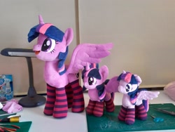 Size: 2048x1536 | Tagged: safe, artist:nekokevin, imported from derpibooru, twilight sparkle, alicorn, pony, 4de, clothes, female, irl, mare, multeity, open mouth, photo, plushie, self ponidox, size difference, smiling, socks, sparkle sparkle sparkle, spread wings, starlight's little twibird, striped socks, triality, trio, twilight sparkle (alicorn), wings