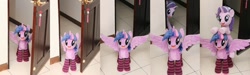 Size: 1024x306 | Tagged: safe, artist:nekokevin, imported from derpibooru, starlight glimmer, twilight sparkle, alicorn, pony, unicorn, series:nekokevin's glimmy, clothes, door, female, irl, looking at you, mare, open mouth, photo, plushie, ponies riding ponies, riding, smiling, socks, spread wings, starlight glimmer riding twilight, starlight's little twibird, striped socks, twilight sparkle (alicorn), underhoof, wings
