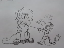 Size: 2576x1932 | Tagged: safe, artist:drheartdoodles, imported from derpibooru, oc, oc:dr.heart, oc:mellow, anthro, clydesdale, dragon, pegasus, pony, anthro with ponies, collar, leash, pony pet, pulling, sitting