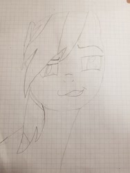 Size: 1536x2048 | Tagged: safe, artist:klutyzdragon, imported from derpibooru, rainbow dash, pony, female, graph paper, grid paper, lined paper, pencil drawing, solo, traditional art