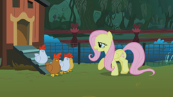 Size: 1280x720 | Tagged: safe, imported from derpibooru, screencap, fluttershy, bird, chicken, pony, stare master