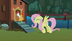 Size: 1280x720 | Tagged: safe, imported from derpibooru, screencap, elizabeak, fluttershy, bird, chicken, pegasus, pony, season 1, stare master, chicken coop, female, mare, one eye closed, stare, the stare