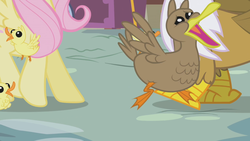 Size: 1280x720 | Tagged: safe, imported from derpibooru, screencap, fluttershy, gilda, duck, griffon, pony, griffon the brush off