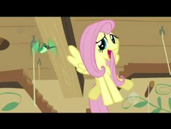 Size: 480x360 | Tagged: safe, imported from derpibooru, screencap, fluttershy, hummingway, hummingbird, pony, a bird in the hoof