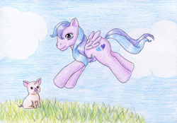 Size: 900x627 | Tagged: safe, artist:normaleeinsane, imported from derpibooru, flitterheart, pig, pony, solo, traditional art