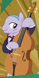 Size: 310x610 | Tagged: safe, imported from derpibooru, screencap, earth pony, pony, dungeons and discords, background pony, cropped, double bass, male, musical instrument, playing instrument, solo, stallion, unnamed character, unnamed pony