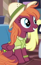 Size: 413x653 | Tagged: safe, imported from derpibooru, screencap, derpy hooves, sweet pepper, pegasus, pony, stranger than fan fiction, background pony, clothes, cropped, female, hat, mare, pith helmet, shirt, sitting, smiling, solo focus