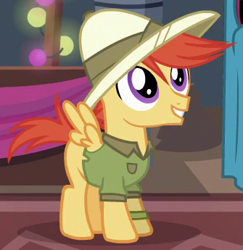 Size: 335x345 | Tagged: safe, imported from derpibooru, screencap, shutterbug, viewfinder (character), pegasus, pony, stranger than fan fiction, background pony, clothes, colt, cropped, foal, hat, male, pith helmet, shirt, solo, viewfinder (g4)