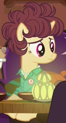 Size: 380x705 | Tagged: safe, imported from derpibooru, screencap, bon appétit, pony, unicorn, spice up your life, background pony, clothes, cropped, female, julia child, lamp, mare, shirt, solo