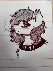 Size: 3120x4160 | Tagged: safe, artist:uglypartyhat, imported from derpibooru, oc, oc only, oc:connor, earth pony, pony, buckle, bust, choker, cigarette, lined paper, photo, portrait, sad, smoking, traditional art