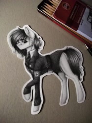 Size: 3120x4160 | Tagged: safe, artist:uglypartyhat, imported from derpibooru, oc, oc only, earth pony, pony, armband, clothes, colored pencil drawing, nazi, paper doll, photo, swastika, traditional art, uniform