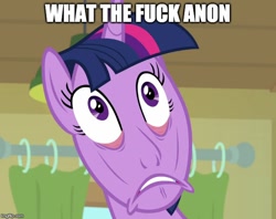 Size: 632x500 | Tagged: safe, edit, edited screencap, imported from derpibooru, screencap, twilight sparkle, alicorn, pony, the point of no return, cursed image, disgusted, exploitable meme, faic, female, meme, memegenerator, solo, twilight sparkle (alicorn), wat, wtf