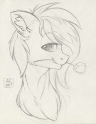 Size: 2014x2600 | Tagged: safe, artist:airfly-pony, imported from derpibooru, oc, oc only, pony, bust, flower, flower in mouth, lineart, looking at you, male, rcf community, rose, rose in mouth, rule 63, solo