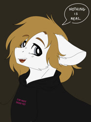 Size: 1024x1366 | Tagged: safe, artist:uglypartyhat, imported from derpibooru, oc, oc only, oc:connor, earth pony, pony, bust, clothes, hoodie, photo, portrait, sad, talking, traditional art